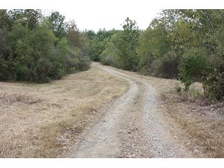Property photo 58 - 419 +/- Acres offered in 6 Tracts, Land Auction
